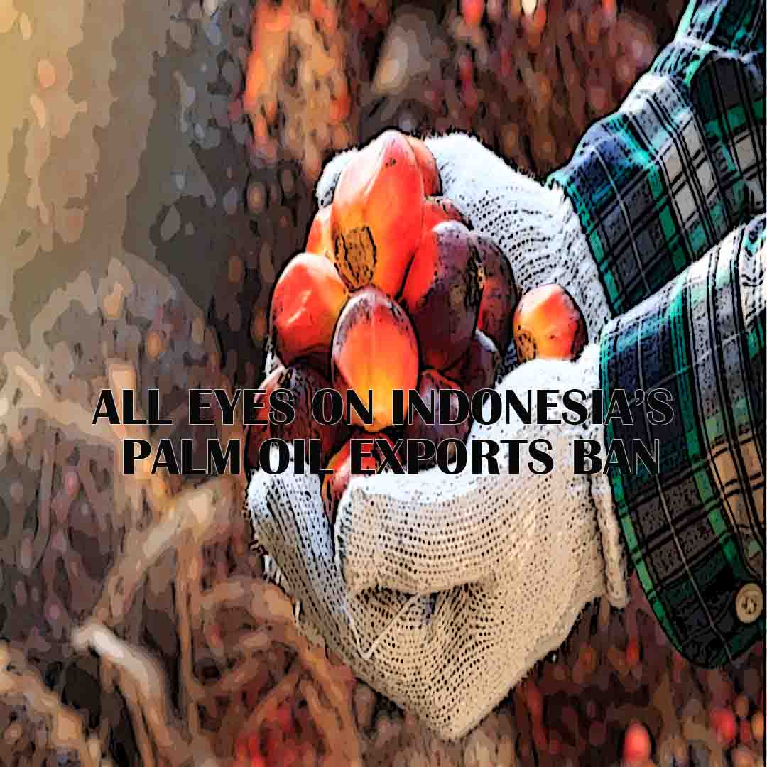 All Eyes on Indonesia’s Palm Oil Exports Ban