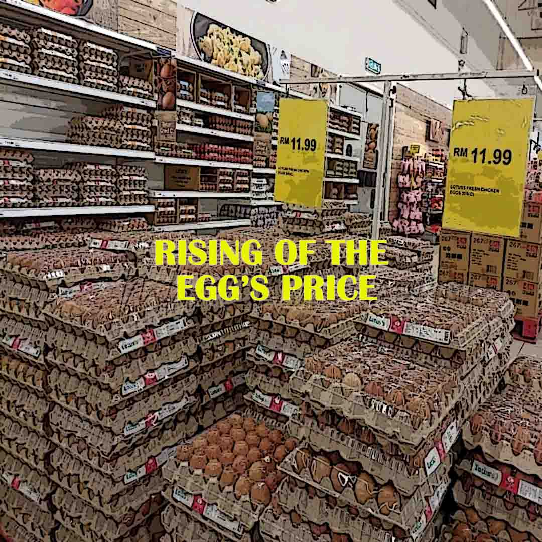Rising of the Egg’s Price