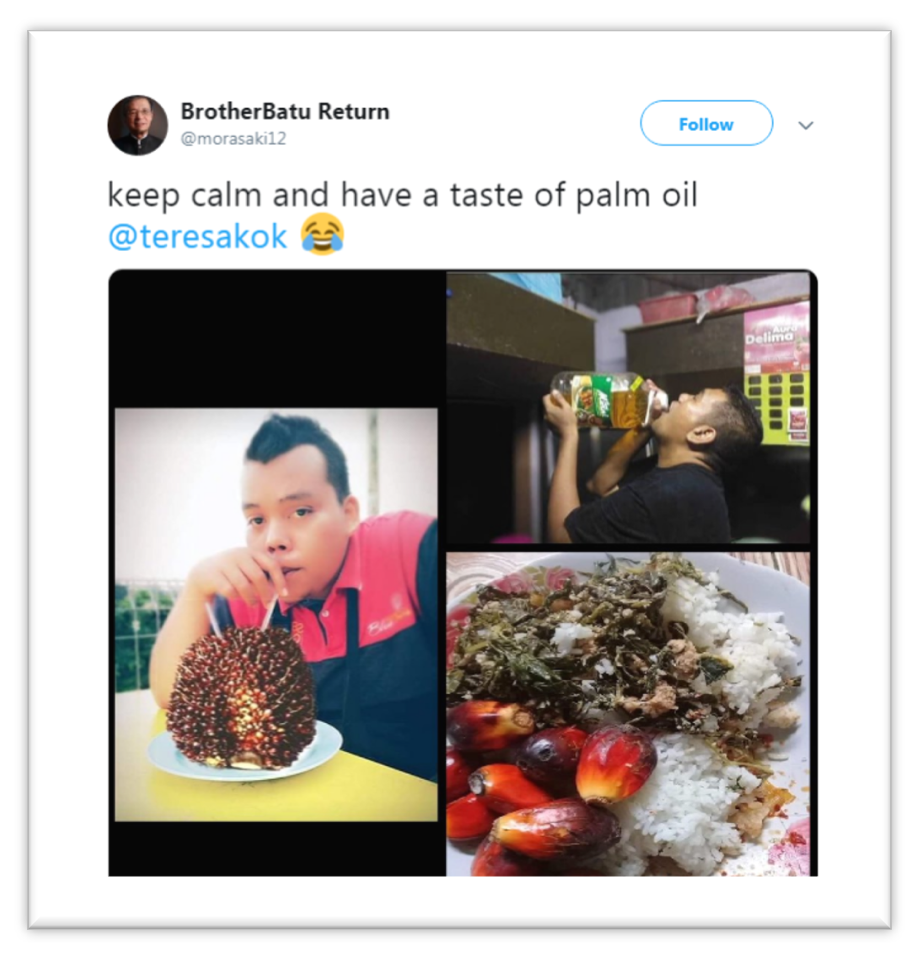 Malaysia, Malaysia Indicator, Teresa Kok, palm oil, Twitter